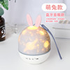 Cartoon rabbit, star projection, children's music lamp, internet celebrity, Birthday gift, bluetooth