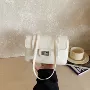 春季新款小众单肩手拎包