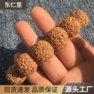 ����������ִ��SƤԭ�������߰˰�ӡ��tƤ�M�����������