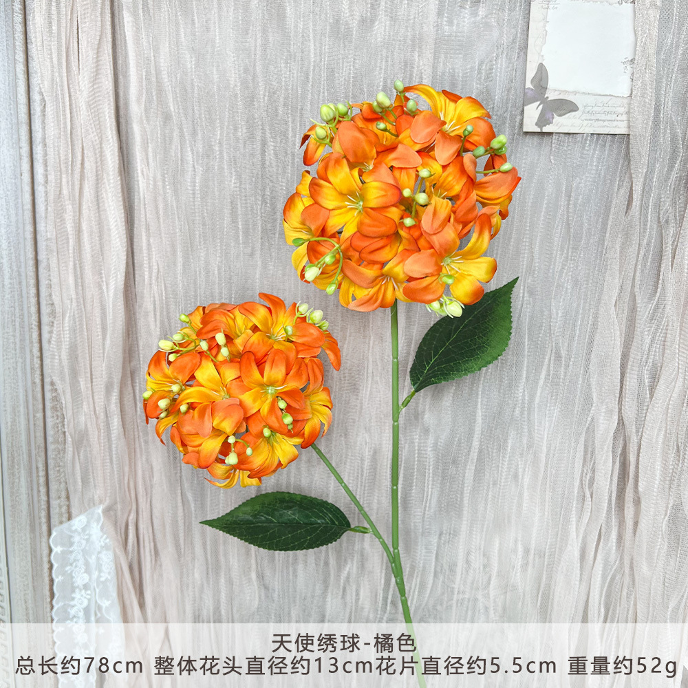 XQ-Angel Hydrangea-Cam