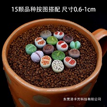 ����ֲ���Ϙ���ʯ���M���҃��������b��ɫ��ʯ��ʯ�����k��������