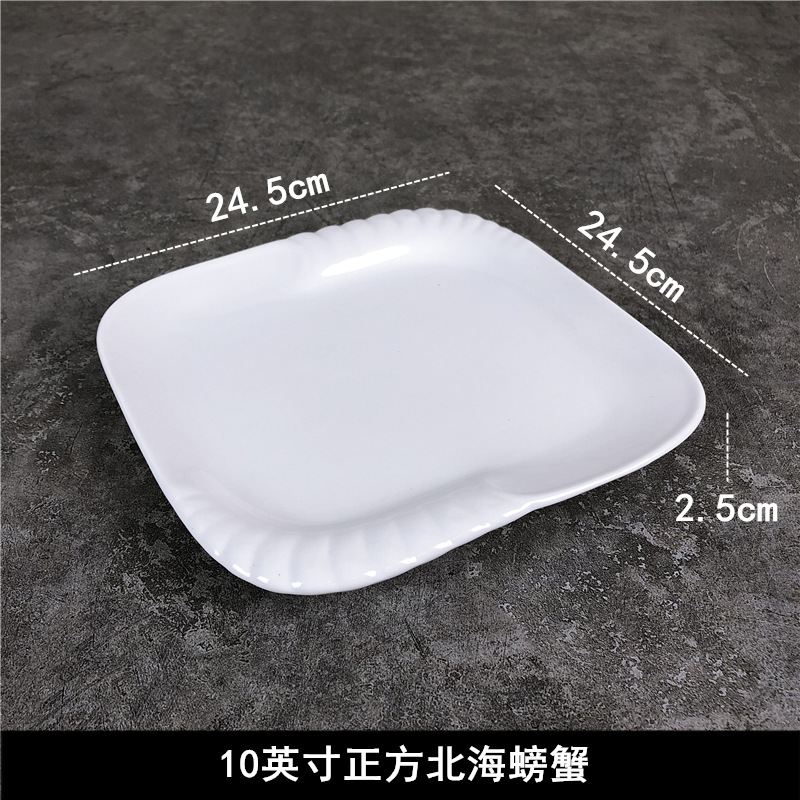 북해 게 10 인치 광장