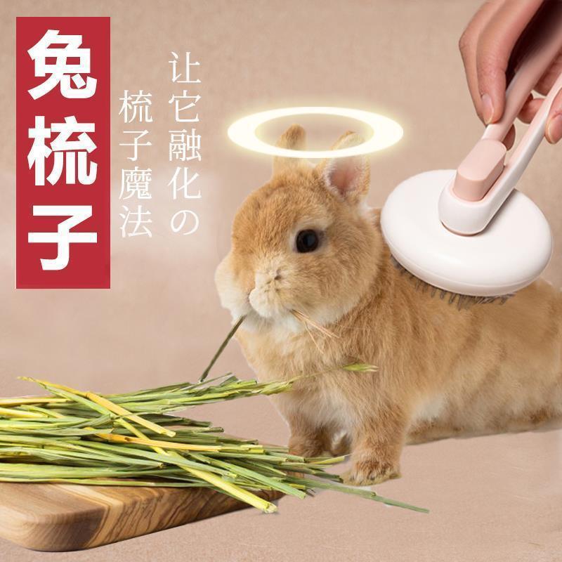 Peine para mascotas, peine especial para conejo y gato, artefacto, suministros para mascotas, peine de pelo flotante, peine de nudo abierto, una pieza al por mayor