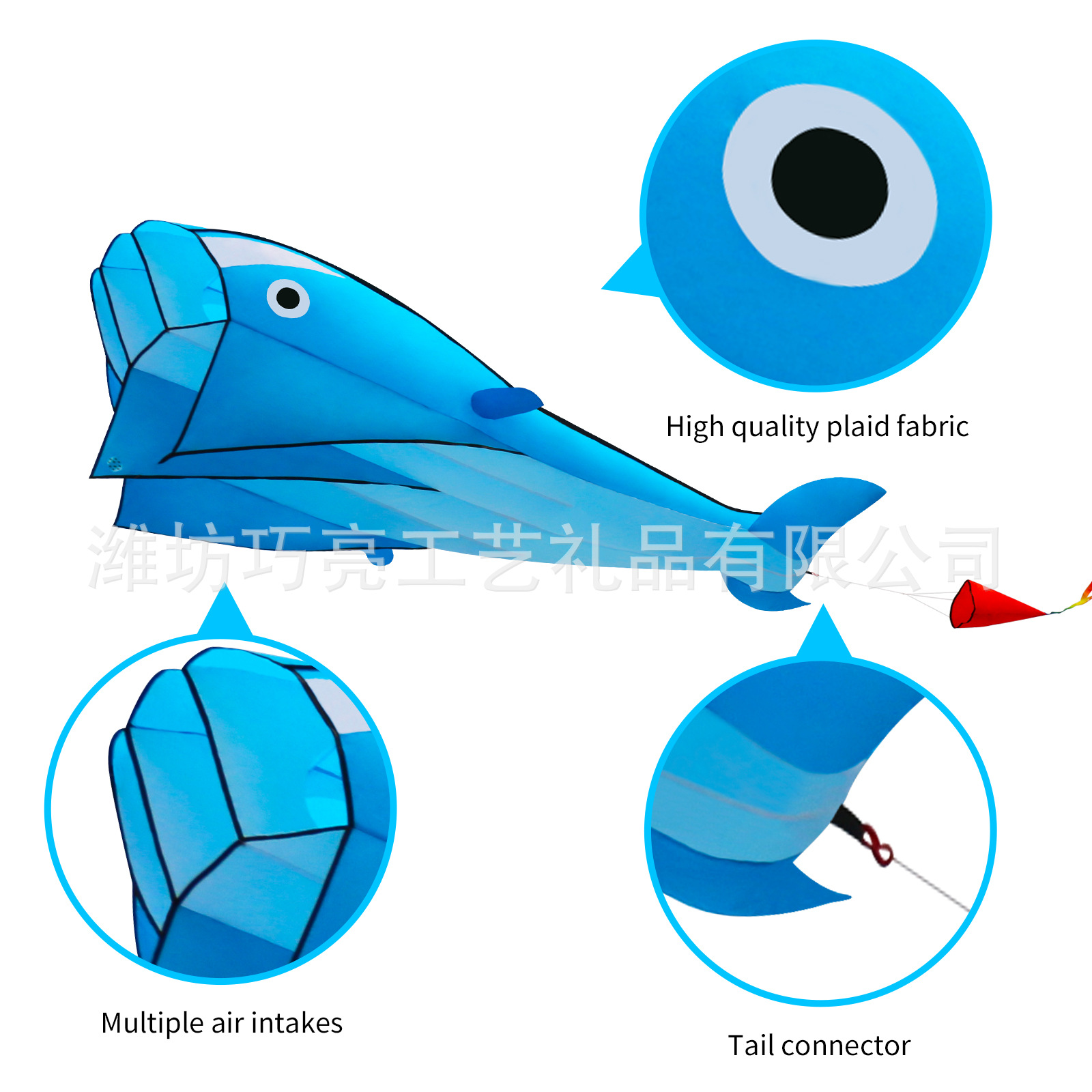 蓝海豚+橙斑章鱼3