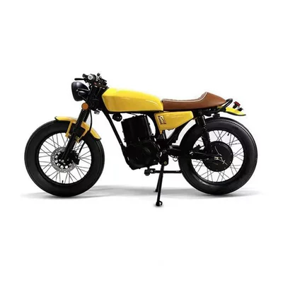 Cross-Border Exclusive Supply, Elektrikli motosikletlər