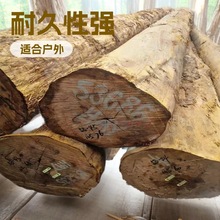 �F؛���l�SӲľԭľ�S̴ľ�Sđľ����Ӳľľ�^�|ľ�Ž��B�ذ�ľ��