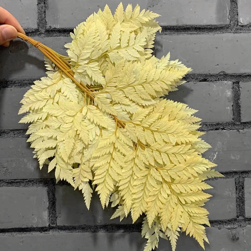 微信图片_20210308142114