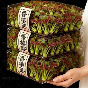 ���̓r�����^�����㴻ѿ26�����r�}�n��ѿɽ�|�㴻ѿ��ѿ��ʳ��