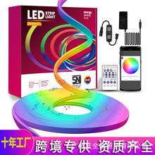 �{���؟��l  5�� 10�� �ò������޺��DIY���� �͉������޺��