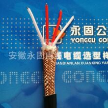 �S��ֱ�NDJYVP-2*2*1.5��̖��|��ȼ�������ΘO�ٰl؛Ӌ��C��|