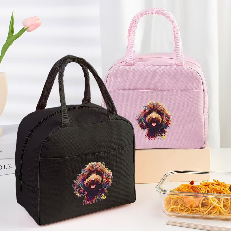 Bolsa aislante impresa transfronteriza Bolsa de almuerzo de trabajo Bolsa de hielo de papel de aluminio portátil Bolsa de almacenamiento de almuerzo para estudiantes Bolsa bento de picnic