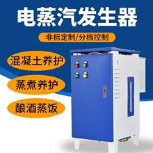 小型电蒸汽发生器服装熨烫熨染食品加工燃气蒸汽锅炉