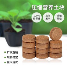 花下居椰饼椰糠饼压缩育苗块儿童种植营养土椰糠培育土
