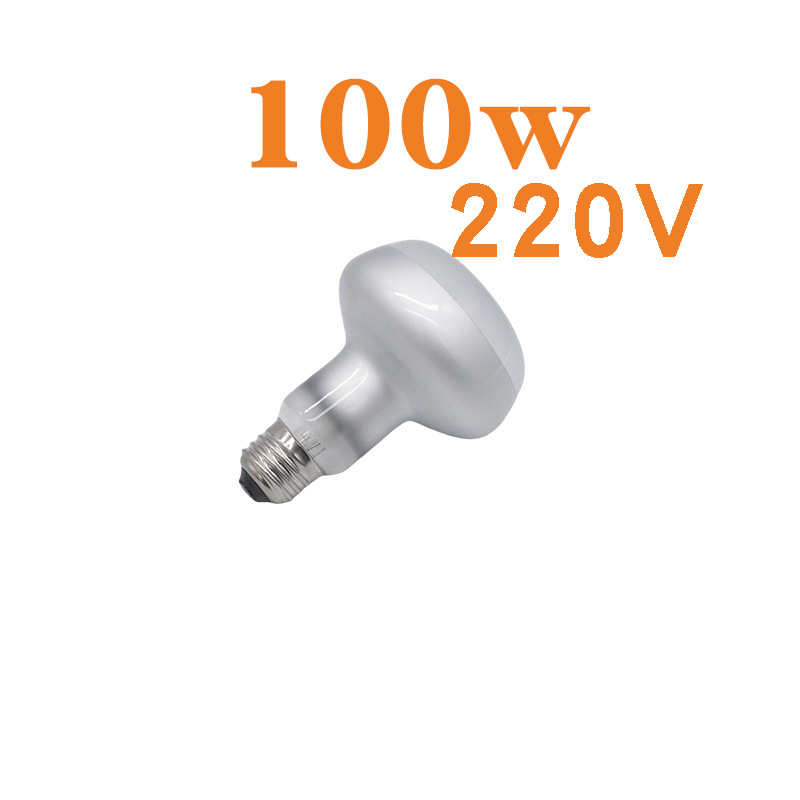 R80 사막 태양 램프 220V 100w