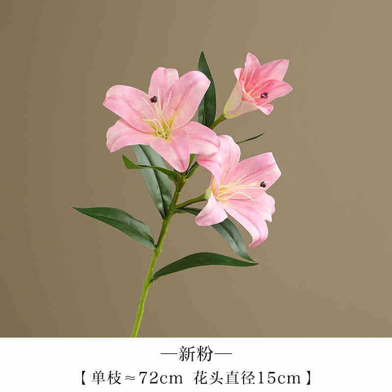 새로운 팬