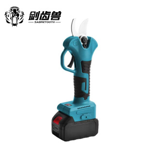 XFSABRETOOTHֳ֦֦늄ӈ@ˇʽ