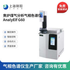 荆和 G60焦炉煤气气相色谱仪 煤气天然气全组分分析气相色谱供应