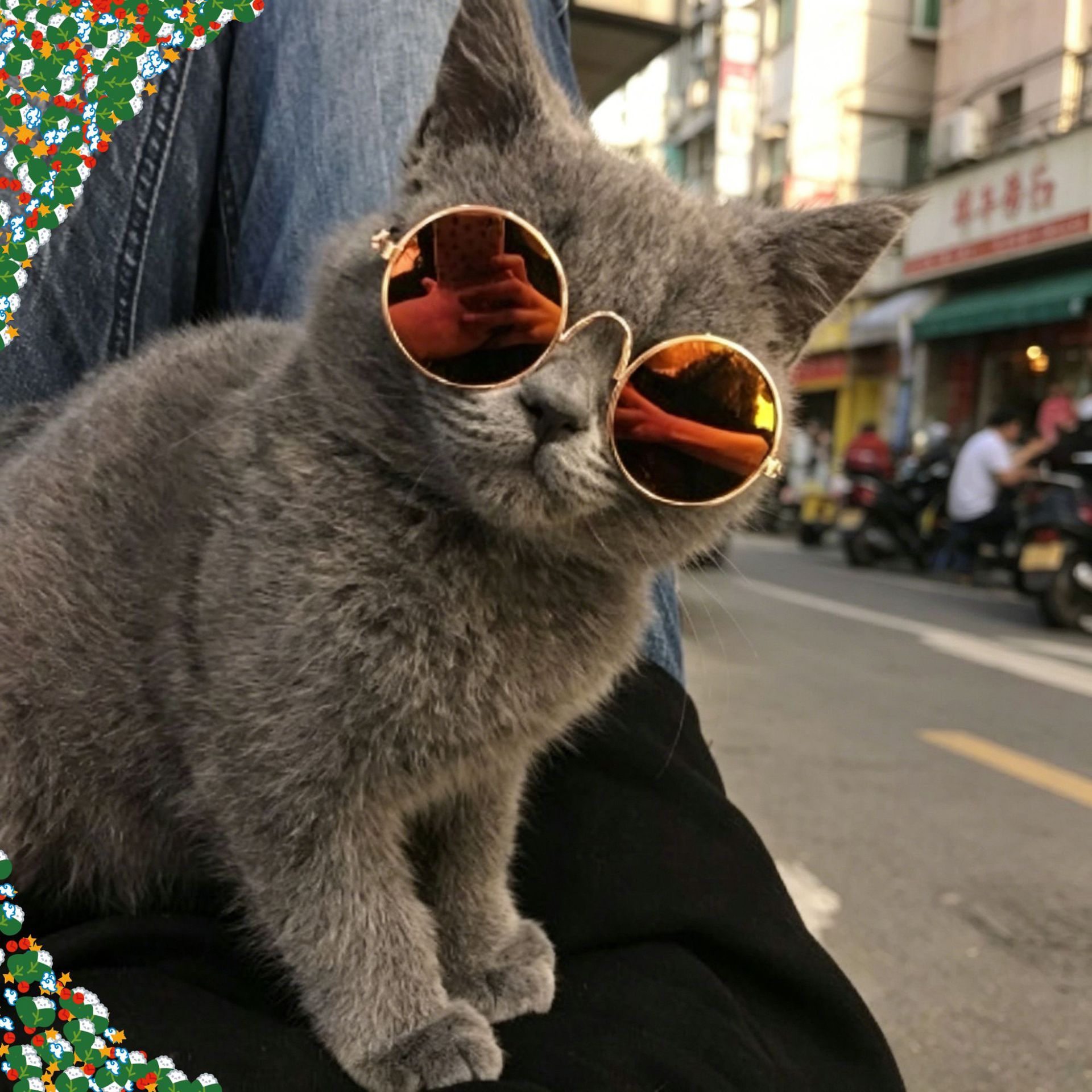Gafas para perros y gatos para fotografía, accesorios con montura redonda, juguetes creativos y modernos, gafas de sol retro, gafas de sol divertidas.
