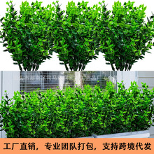 �羳���R�d���滨�ȼ������ϻ��ٻ�ֲ���c�@ˇ�b�Դ�^���l