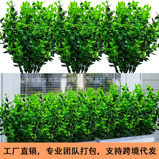 �羳���R�d���滨�ȼ������ϻ��ٻ�ֲ���c�@ˇ�b�Դ�^���l