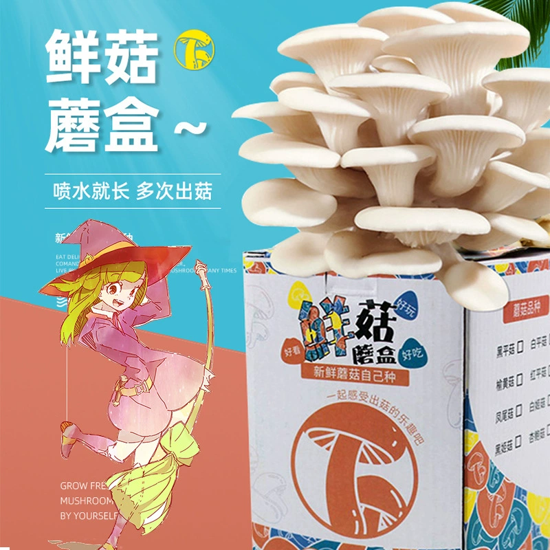 Набор для выращивания грибов (лопухов) в коробке, детский подарок для творчества в детском саду, для растительного киоска, зеленые растения