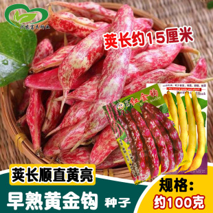 ��ˈ@�����ἃ�S���h�N�� �ˈ@�r�Ҵ����ܿ��녶��ǷN�� �Y�M��