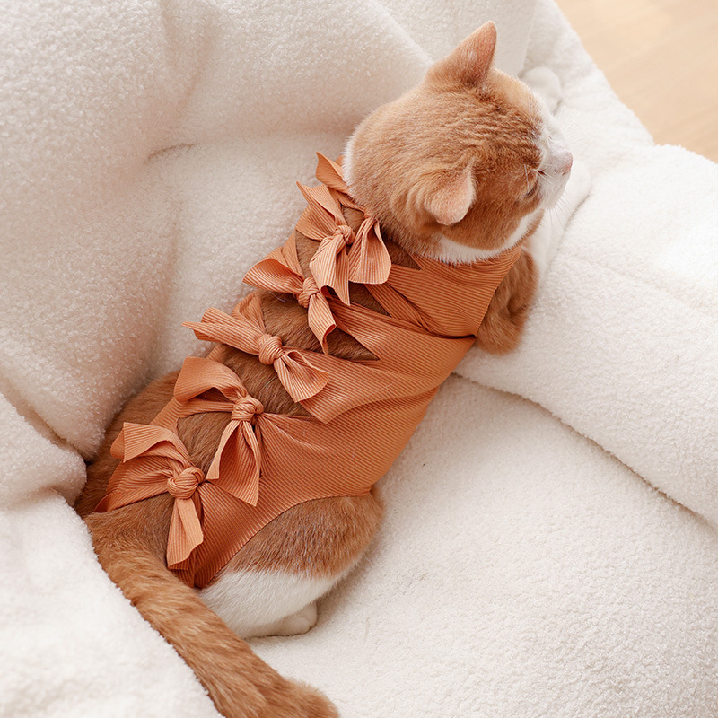 猫咪绝育服母猫手术服衣服透气戒奶服奶服公猫防舔术后宠物猫猫|undefined