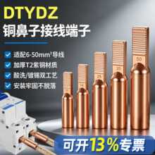 C45空开接线端子断路器插针接线铜鼻子DTYDZ紫铜大电流10-50平方