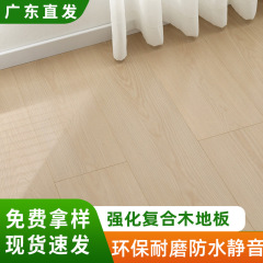 广东现货强化复合地板ENF静音哑光木纹橡木奶油风复合木地板家用