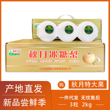 �������R��������ش���Y�Ѓ���4��ɽ�|�Rꖱ����������rˮ��