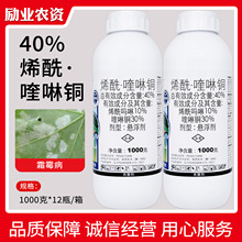 �o�Ơ�40%ϩ������~ ϩ����������~����˪ù���rș������