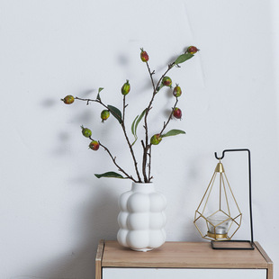 �羳ins���z�Ứƿ���W�Ҿ��b�����ƿ�[���t���JȔ�ٻ�