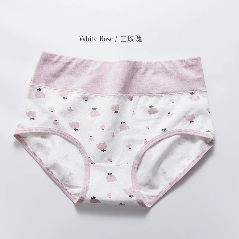 Бюстгальтер (Underwear Cotton Cute) японского стиля для девушек, умеренная посадка, дышащий школьный размер 160–175