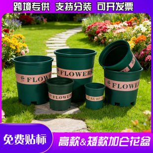 �߿�Ӂ���Ӂ��������ϻ��賬��̖�Ӻ�Gɫ����ظ����֬��G�}