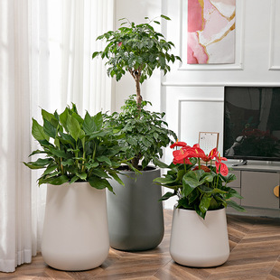 ���W������پ��Ԅ���ˮ�����҃ȴ�̖�A���΃�ˮ���˾G�}���ϾGֲ