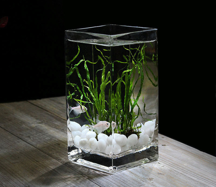 f7a70c23-e7db-465a-8f82-f98fe193fbec.jpe