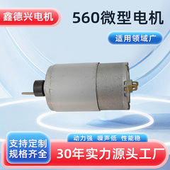 メーカーは560 565マイクロモーターのジューサーを供給しています。