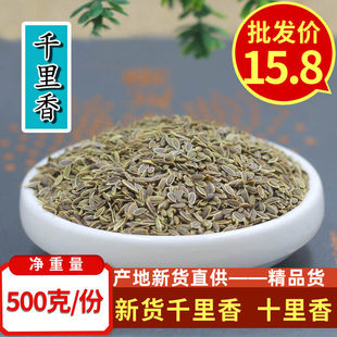 ǧ������500�˰��]�����������ǧ������P�}���u������