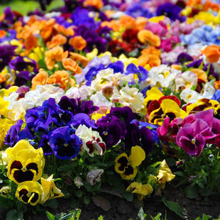 �M����ɫ�����Ѷ����ͺ��������ļ����N�׻��̨����С�����N��