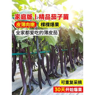 �ļ�����������N�玧����Ʒ�N�޽Ӻ���һ̖���A�����Ә���N����