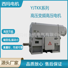 ����������YJTKK560L2-8��710KW 10KV��ѹ��Ƶ�����첽�綯����
