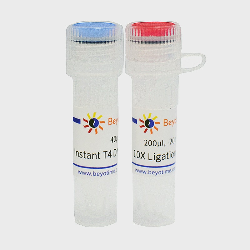 D7009M  Instant T4 DNA Ligase 200kU