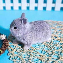 ����٪�����L������m����С���ü��B������С�����L���û�����