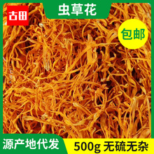 福建古田特产虫草花500g蛹虫草散装食用菌干货北冬虫夏草现货批发