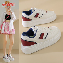 �Ї��p��С��ЬŮ2025�¿������e�\��ЬŮ�W���ٴ��Ь��Ů