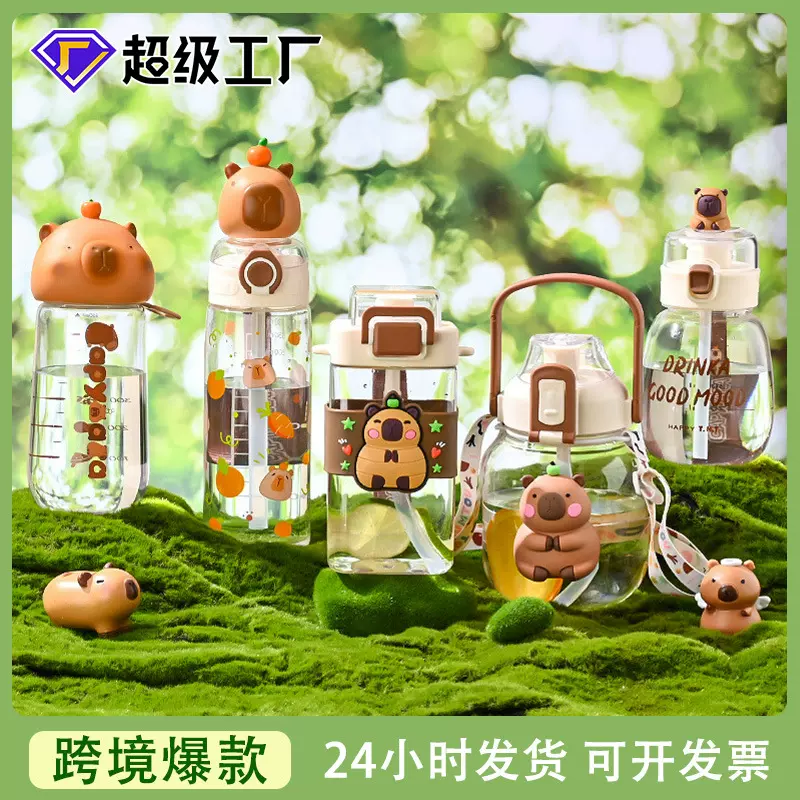 卡皮巴拉卡通公仔水杯儿童吸管杯夏季户外便携运动水壶塑料水杯