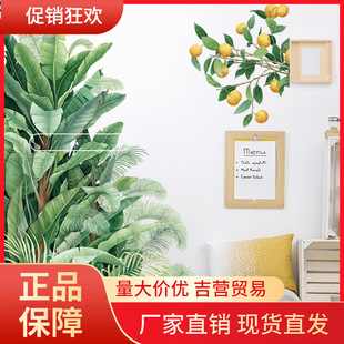V45O���Ƴ����N�Ž��~�GֲС��� ��Ƿ��T�b�ˮ�������Ҍ��Ҝ�
