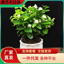 һ�����l�ذ����������҃��ļ��_���^��ֲ���̨������Ã�����