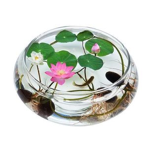 ����䓻��貣����ƿ��ɏ�~�X��ˮ�ɻ���ˮ�໨�ܾGֲˮ�B�͏d�