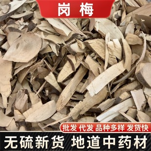 ��÷����ș�� �c���� ����y���Ǹ���Ʒɽ÷�� ɽ÷�����l���l